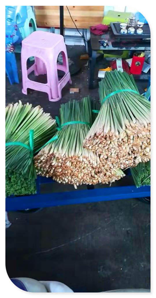 rb88随行版-rb88手机随行版登录入口