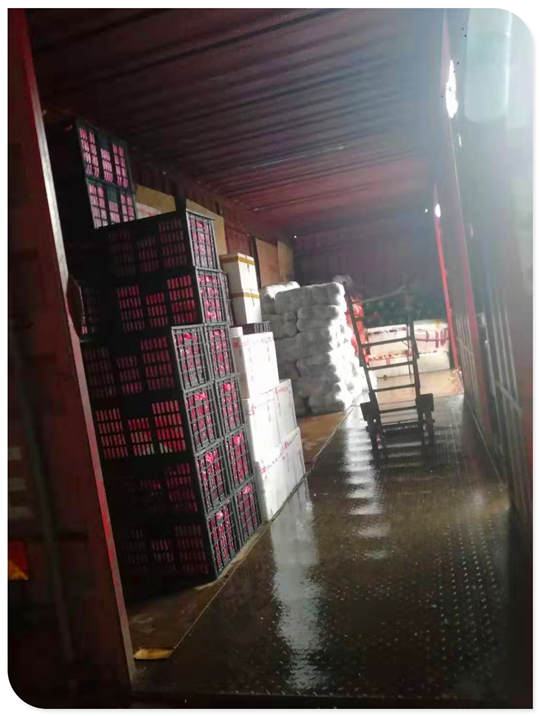 rb88随行版-rb88手机随行版登录入口