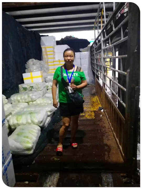 rb88随行版-rb88手机随行版登录入口