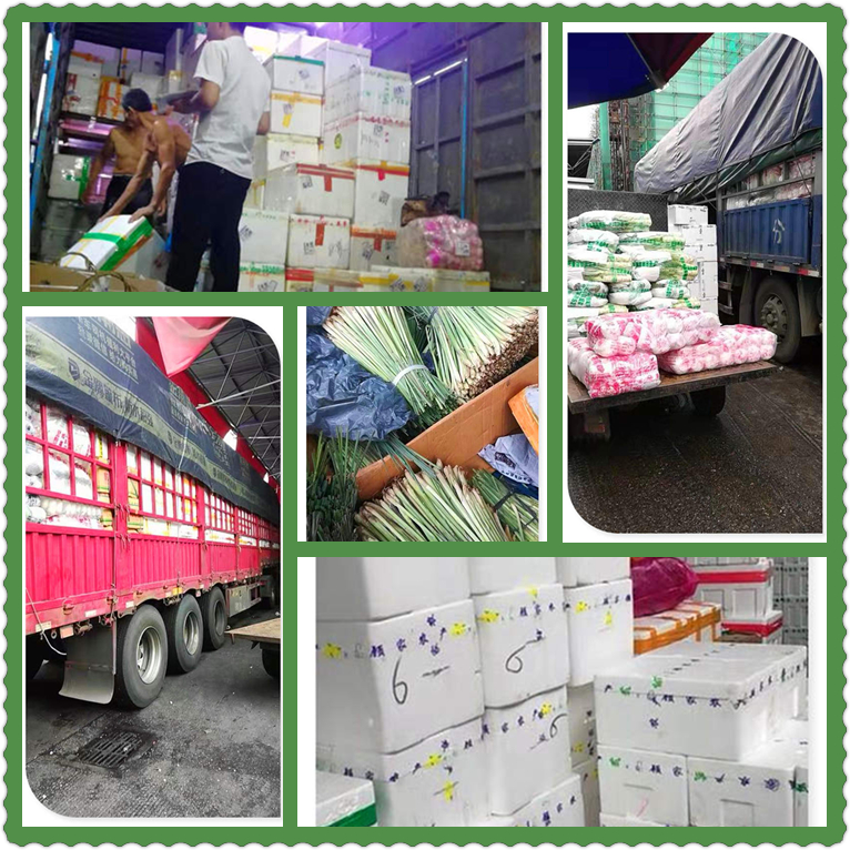 rb88随行版-rb88手机随行版登录入口