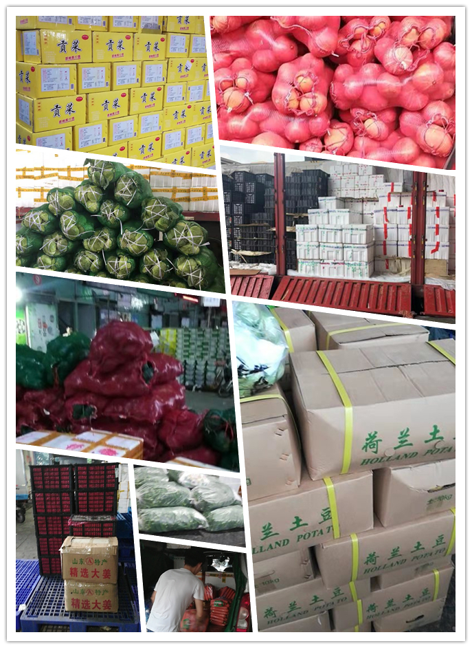 rb88随行版-rb88手机随行版登录入口