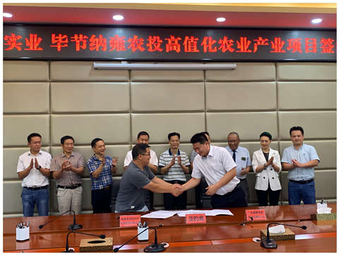 rb88随行版-rb88手机随行版登录入口