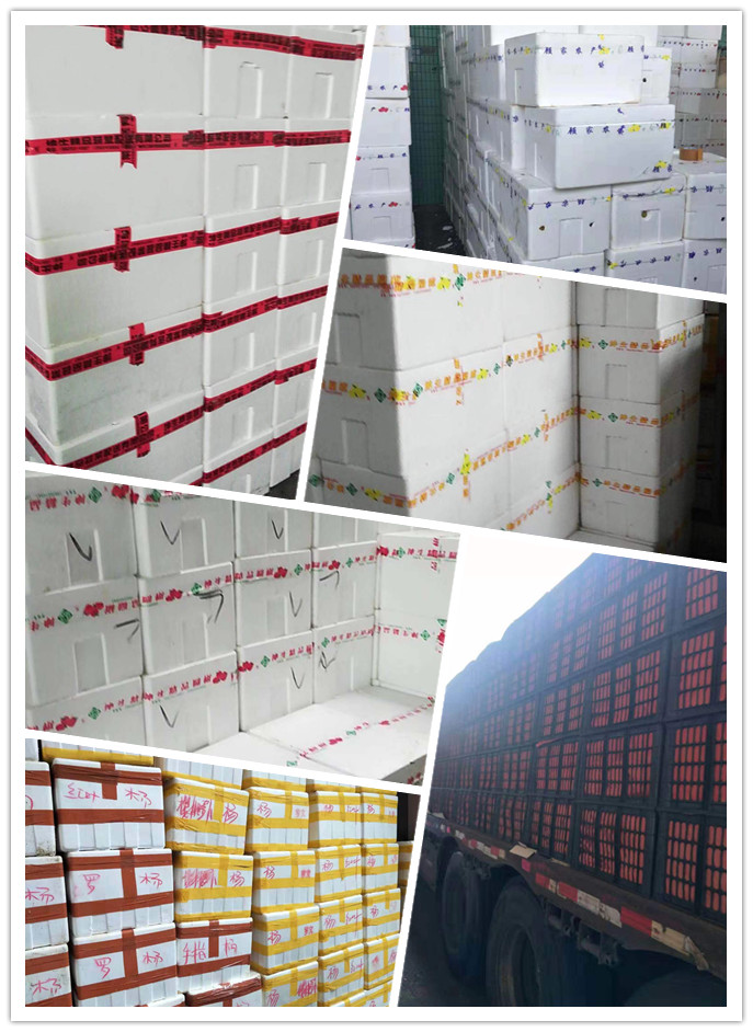 rb88随行版-rb88手机随行版登录入口