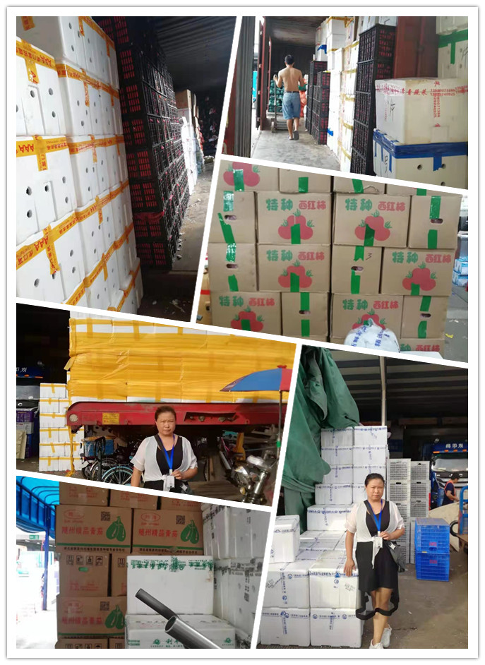 rb88随行版-rb88手机随行版登录入口