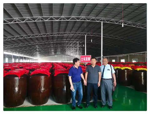 rb88随行版-rb88手机随行版登录入口