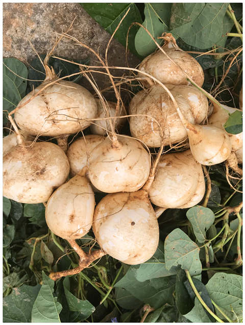 rb88随行版-rb88手机随行版登录入口