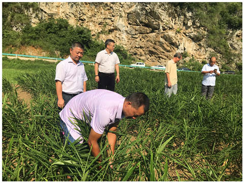 rb88随行版-rb88手机随行版登录入口