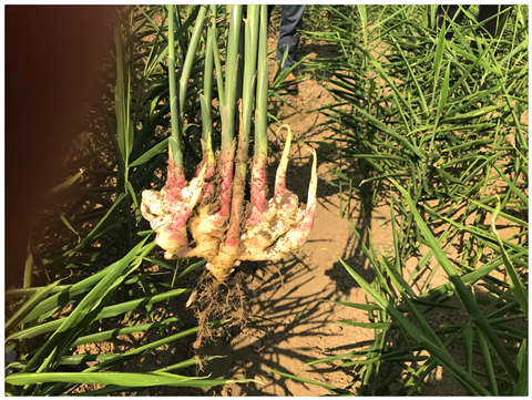 rb88随行版-rb88手机随行版登录入口