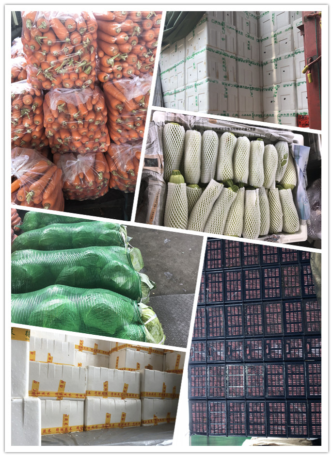 rb88随行版-rb88手机随行版登录入口