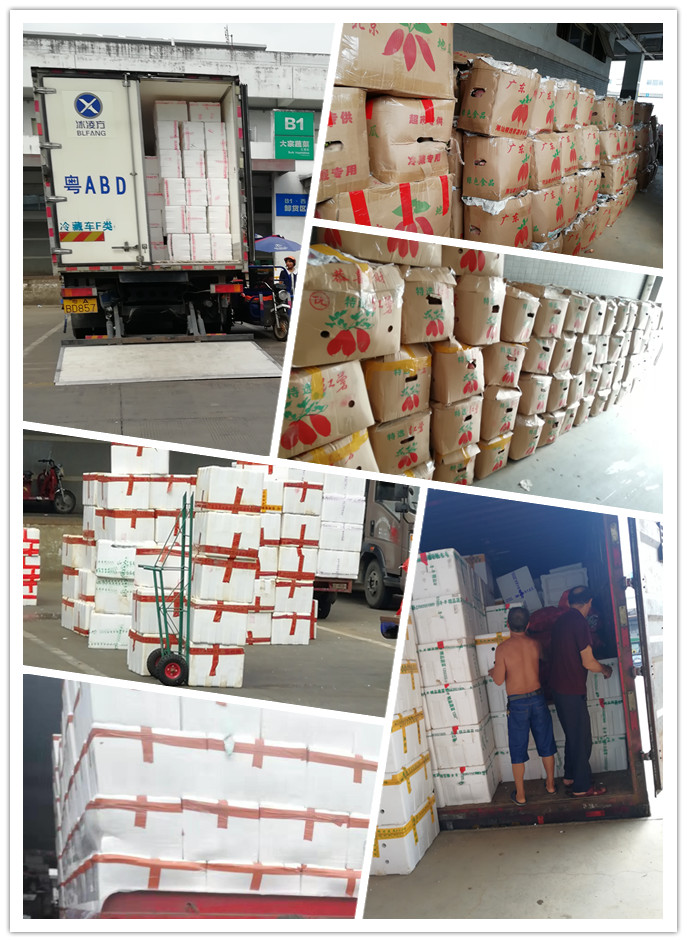 rb88随行版-rb88手机随行版登录入口