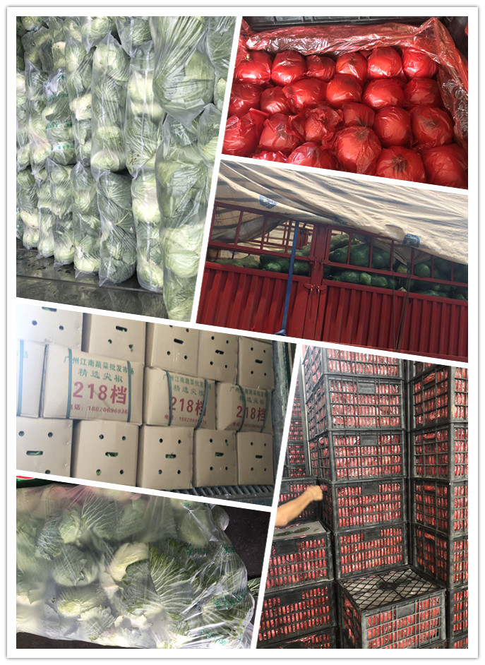 rb88随行版-rb88手机随行版登录入口