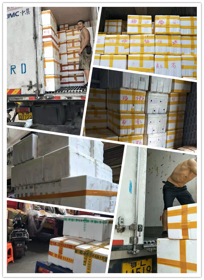 rb88随行版-rb88手机随行版登录入口