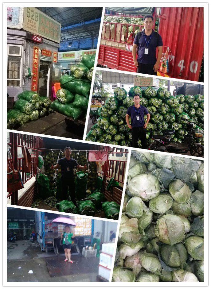 rb88随行版-rb88手机随行版登录入口