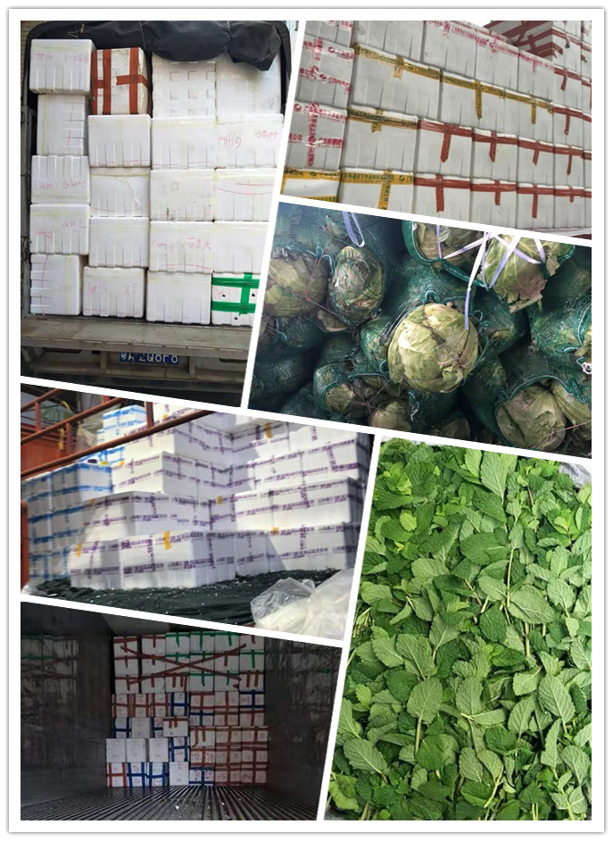 rb88随行版-rb88手机随行版登录入口