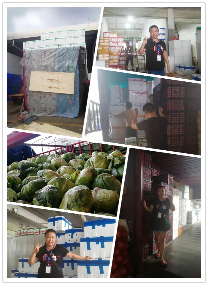 rb88随行版-rb88手机随行版登录入口