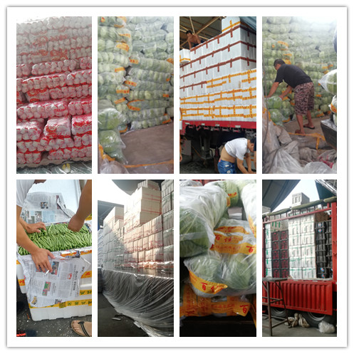 rb88随行版-rb88手机随行版登录入口