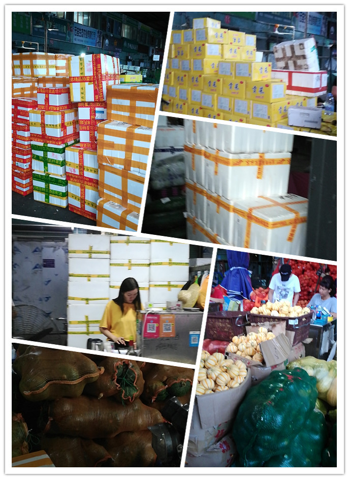 rb88随行版-rb88手机随行版登录入口