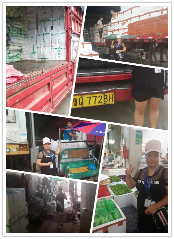 rb88随行版-rb88手机随行版登录入口