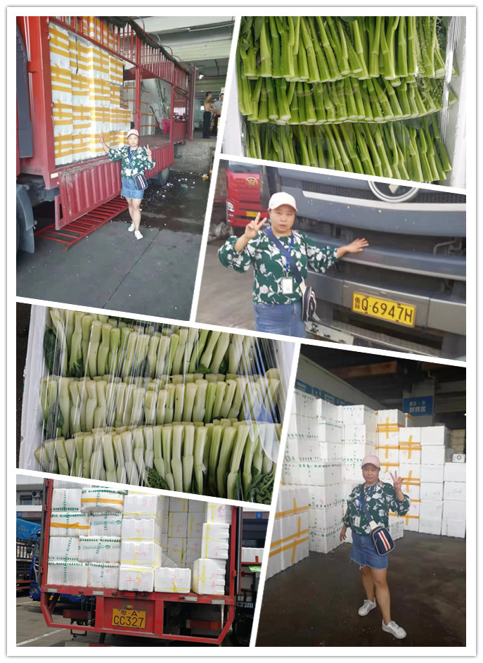 rb88随行版-rb88手机随行版登录入口