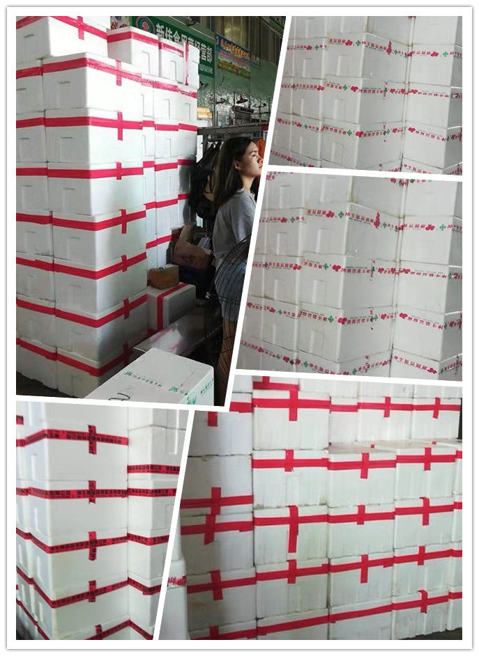 rb88随行版-rb88手机随行版登录入口