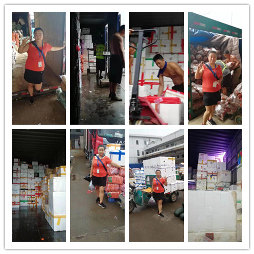 rb88随行版-rb88手机随行版登录入口