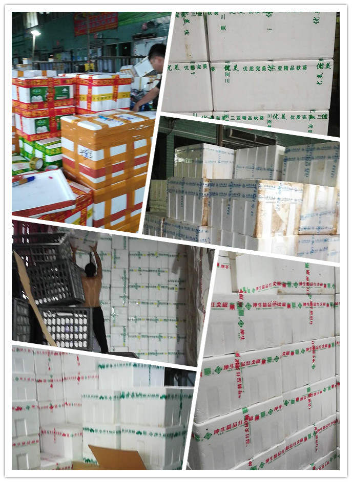 rb88随行版-rb88手机随行版登录入口