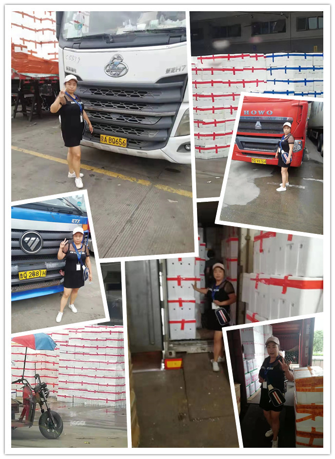 rb88随行版-rb88手机随行版登录入口