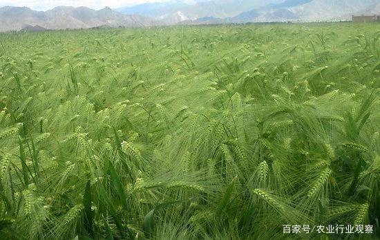 rb88随行版-rb88手机随行版登录入口