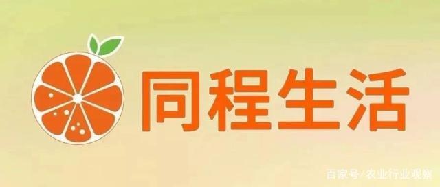 rb88随行版-rb88手机随行版登录入口