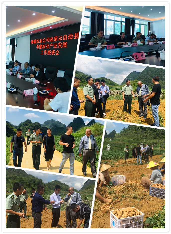 rb88随行版-rb88手机随行版登录入口