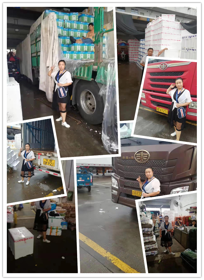 rb88随行版-rb88手机随行版登录入口