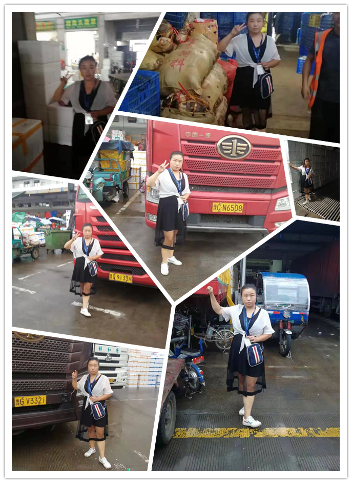 rb88随行版-rb88手机随行版登录入口