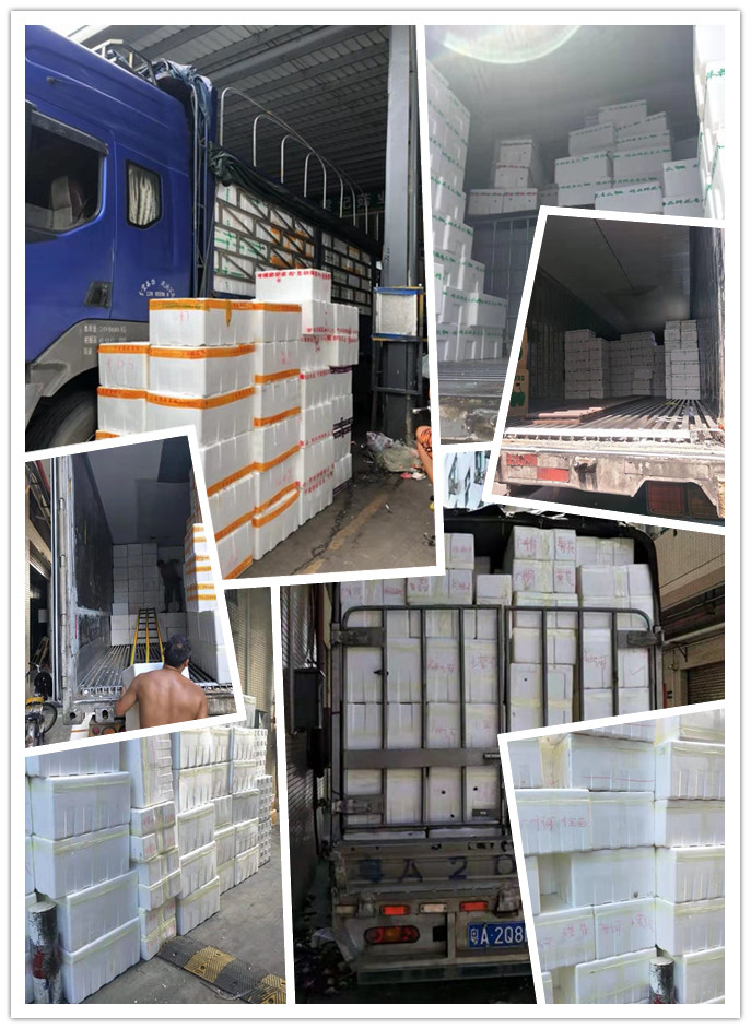 rb88随行版-rb88手机随行版登录入口