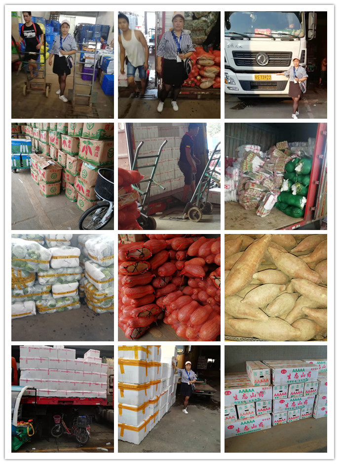 rb88随行版-rb88手机随行版登录入口