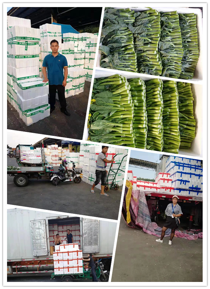 rb88随行版-rb88手机随行版登录入口