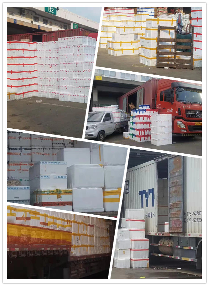 rb88随行版-rb88手机随行版登录入口