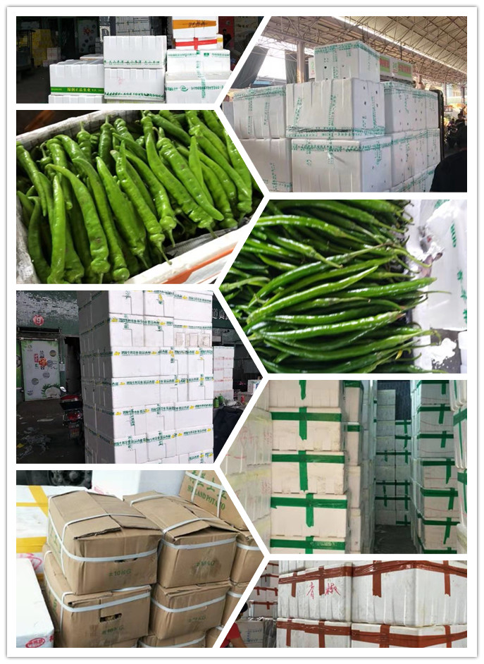 rb88随行版-rb88手机随行版登录入口