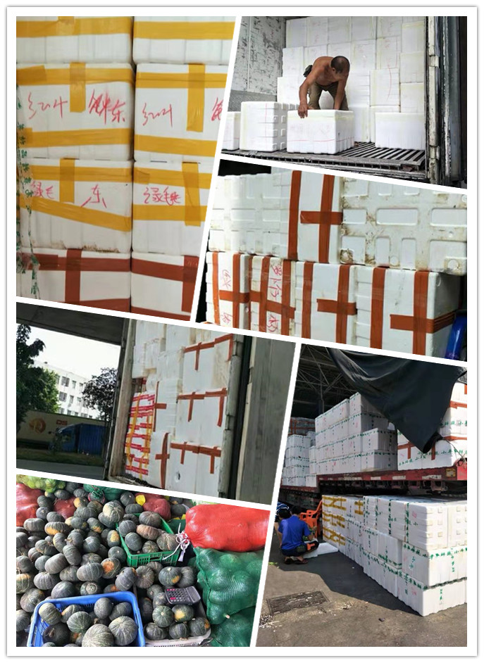 rb88随行版-rb88手机随行版登录入口