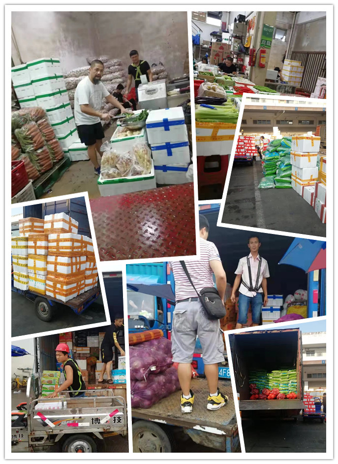 rb88随行版-rb88手机随行版登录入口