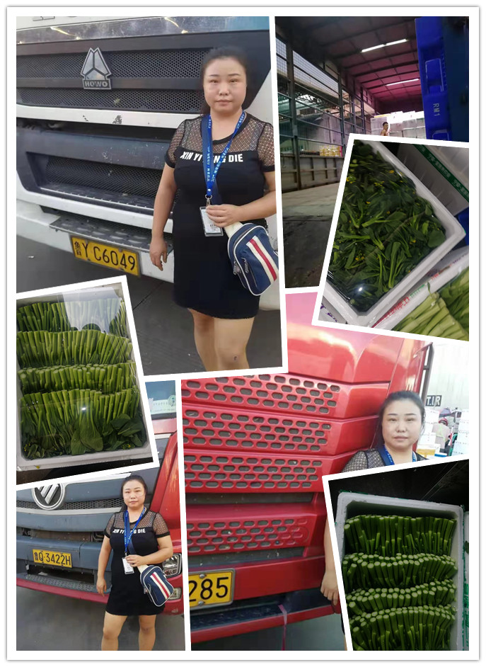 rb88随行版-rb88手机随行版登录入口