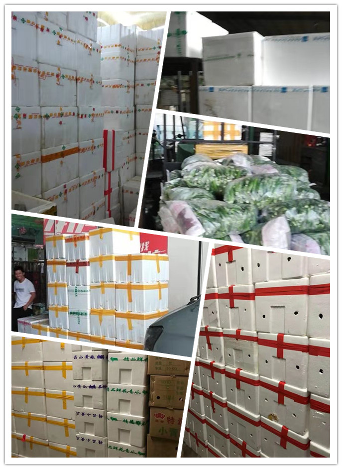 rb88随行版-rb88手机随行版登录入口