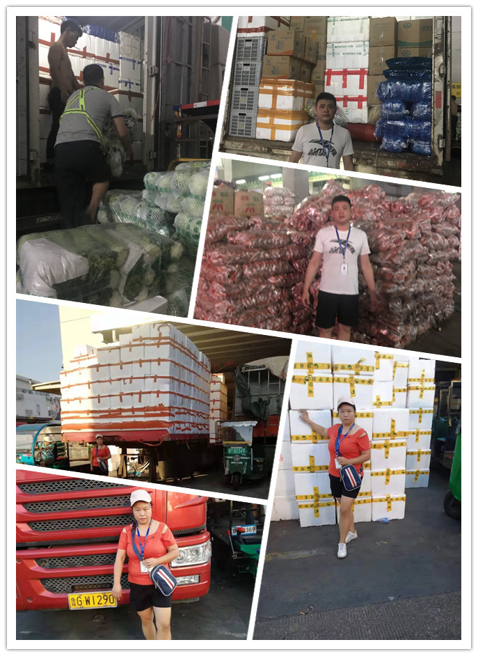 rb88随行版-rb88手机随行版登录入口