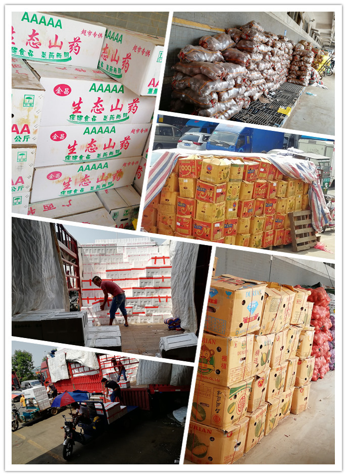 rb88随行版-rb88手机随行版登录入口