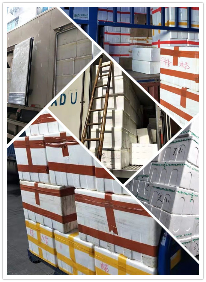 rb88随行版-rb88手机随行版登录入口