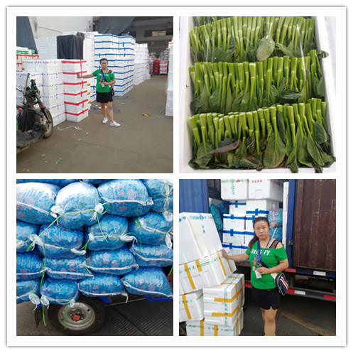 rb88随行版-rb88手机随行版登录入口