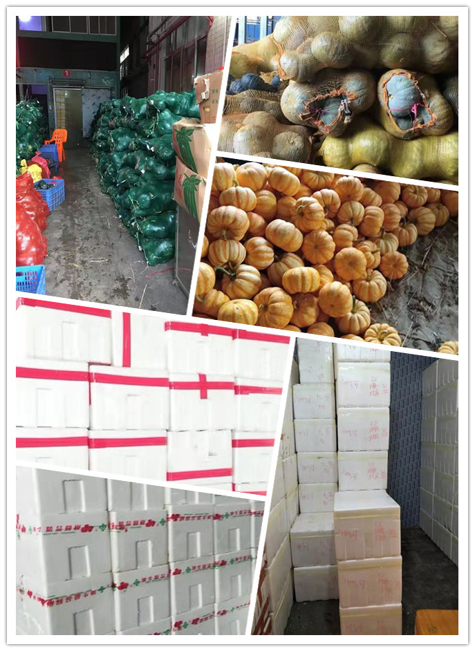 rb88随行版-rb88手机随行版登录入口