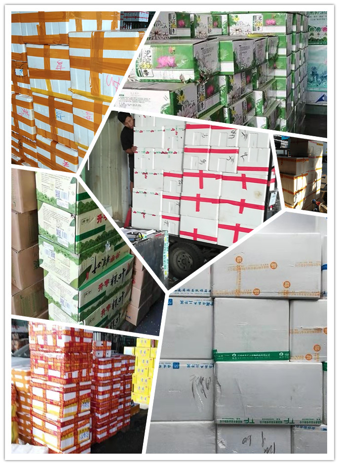 rb88随行版-rb88手机随行版登录入口