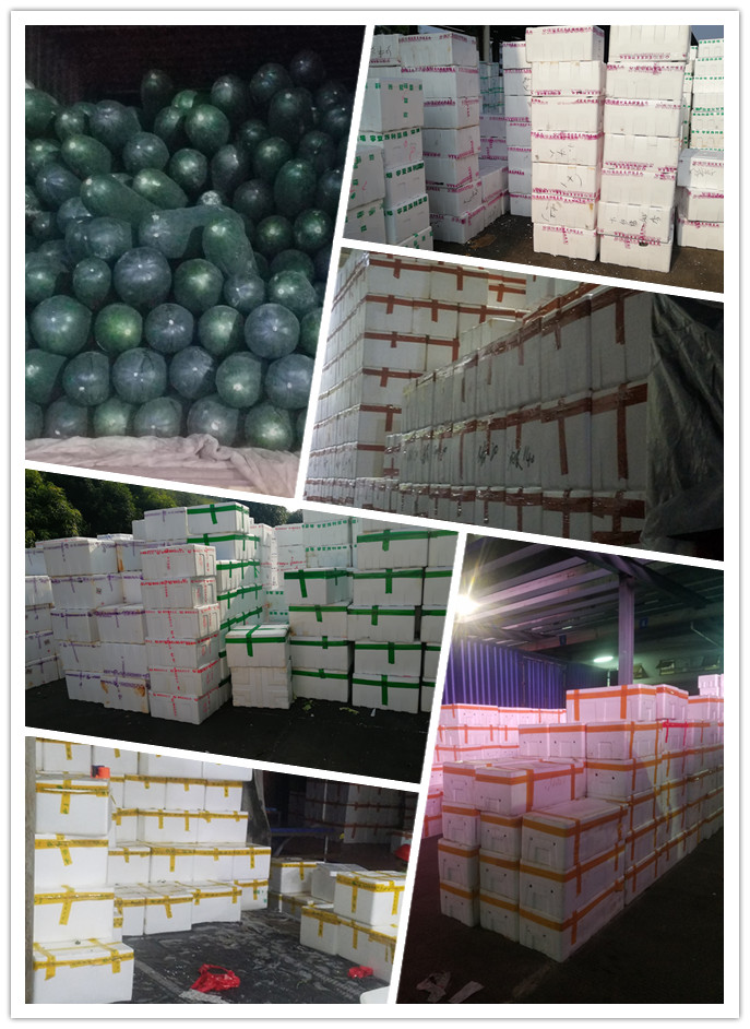 rb88随行版-rb88手机随行版登录入口