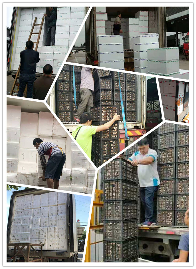 rb88随行版-rb88手机随行版登录入口