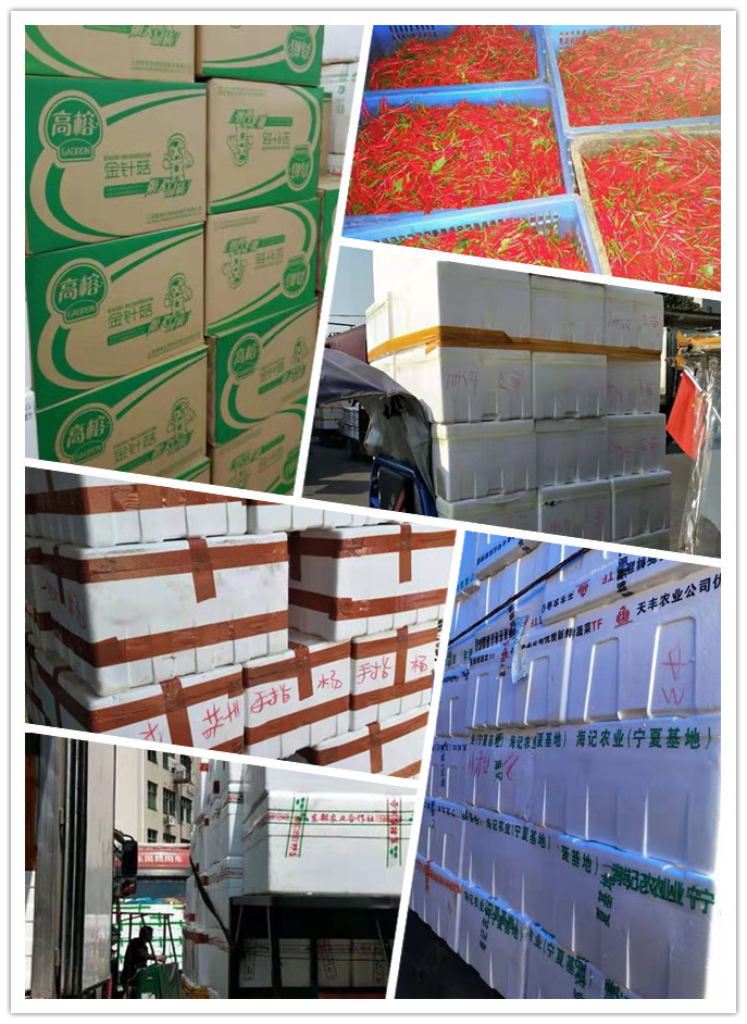 rb88随行版-rb88手机随行版登录入口